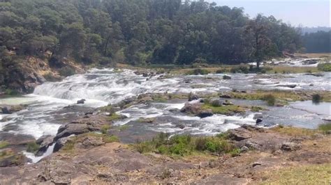  Das Uluppuni-Wasserfall: Ein verstecktes Juwel in den Nilgiris!