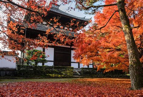 Der Tofuku-ji Tempel: Ein spiritueller Zufluchtsort mit atemberaubendem Herbstlaub