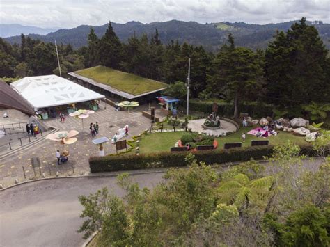  Der Parque Arví: Ein grünes Juwel am Rande von Medellín!